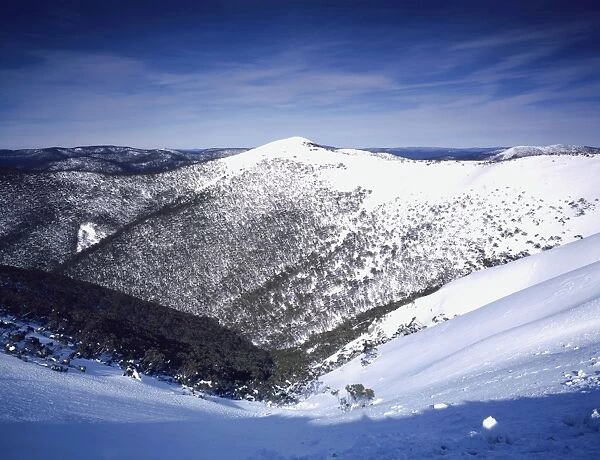 Dargo High Plain (Mt Hotham snowfield) Alpine National Park, Victoria, Australia JLR05218
