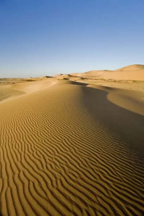 Framed Print : Dawn in the Dunes Patterns on the dunes between Swakopmund and Walvis Bay Namibia, Africa Framed Print : Dawn in the Dunes Patterns on the dunes between Swakopmund and Walvis Bay Namibia, Africa