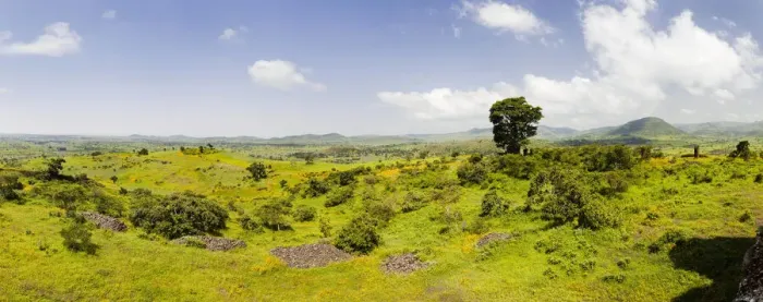 Framed Print : DDE-90019443 Framed Print : DDE-90019443