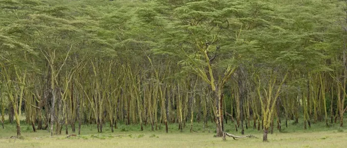 Framed Print : DDE-90019524 Framed Print : DDE-90019524