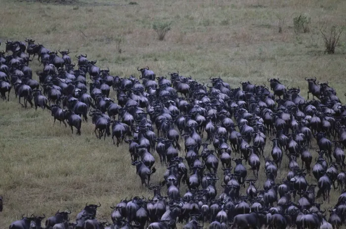 Framed Print : DDE-90020437