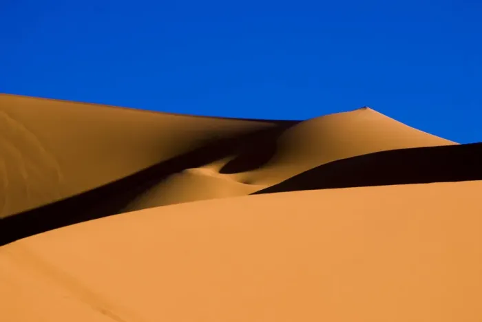 Framed Print : DDE-90023078