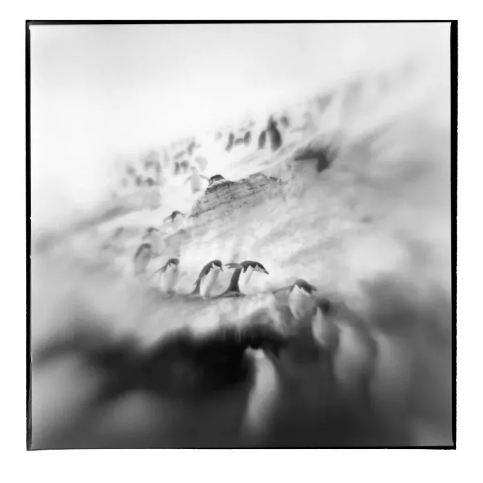 Framed Print : DDE-90023927 Framed Print : DDE-90023927