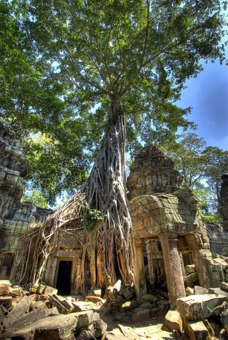 Framed Print : DDE-90025709 Framed Print : DDE-90025709