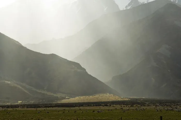 Framed Print : DDE-90026618
