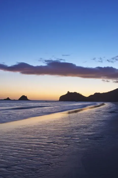 Framed Print : DDE-90026881