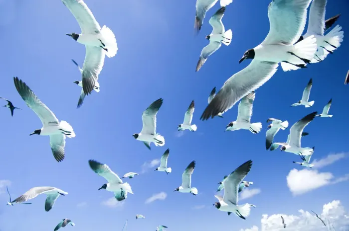 Framed Print : DDE-90027353 Framed Print : DDE-90027353