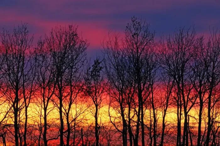 Framed Print : DDE-90028114 Framed Print : DDE-90028114