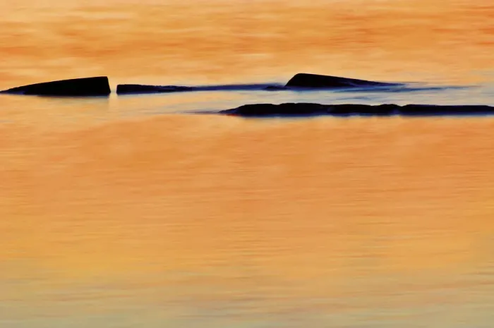 Framed Print : DDE-90028421 Framed Print : DDE-90028421