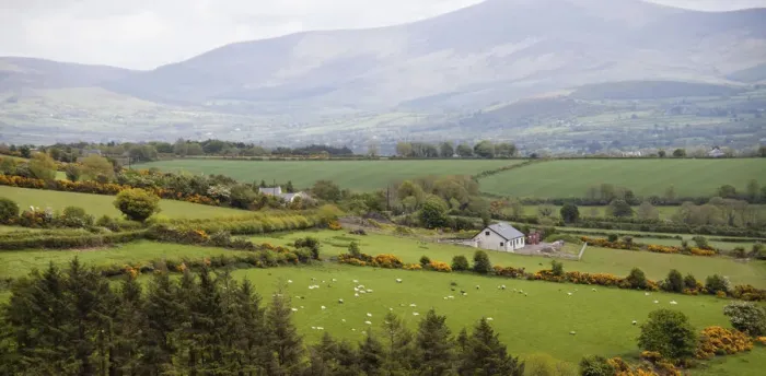 Framed Print : DDE-90031976 Framed Print : DDE-90031976