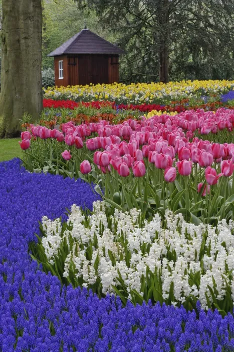 Framed Print : DDE-90033021 Framed Print : DDE-90033021