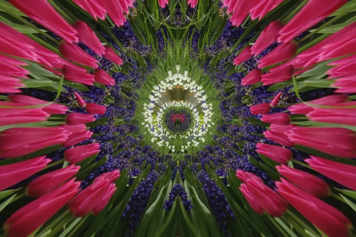 Framed Print : DDE-90033036