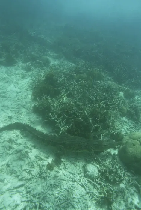Framed Print : DDE-90037780 Framed Print : DDE-90037780