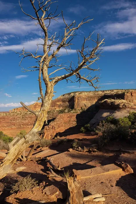 Framed Print : Dead Horse State Park. Utah, USA. Date: 16-07-2021