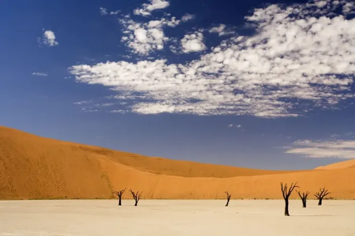 Framed Print : Dead Trees In Dead Vlei - Dead trees with red dunes and a dried white clay floor - Southern Namib Desert - Namibia - Africa Framed Print : Dead Trees In Dead Vlei - Dead trees with red dunes and a dried white clay floor - Southern Namib Desert - Namibia - Africa