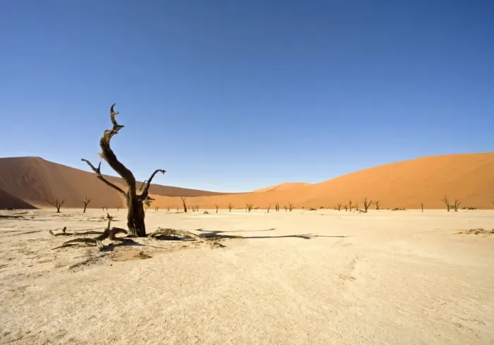 Framed Print : Dead Vlei trees. Sossusvlei - Namib Desert, Namibia, Africa Framed Print : Dead Vlei trees. Sossusvlei - Namib Desert, Namibia, Africa