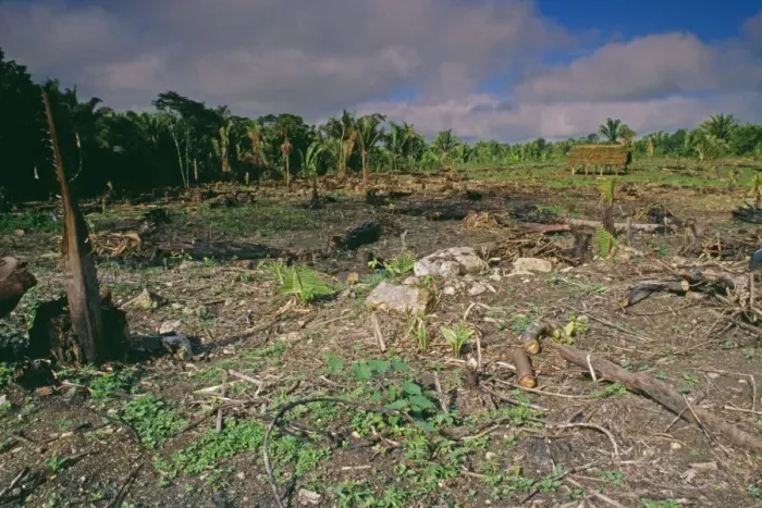 Framed Print : Deforestation - slash & burn with secondary growth, Central America Framed Print : Deforestation - slash & burn with secondary growth, Central America