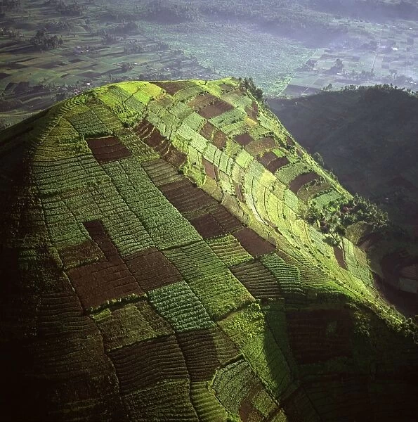 Democratic Republic of Congo - Aerial view of Africa, Intensive agriculture on the Virunga foothills, 2003