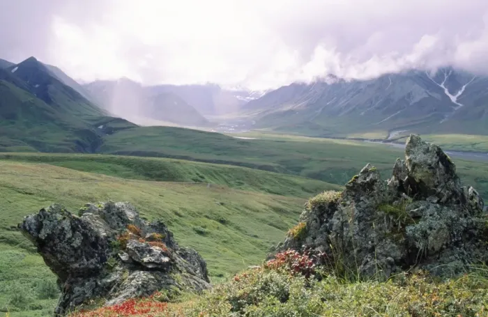 Framed Print : Denali National Park, Thorofare R. Valley, Alaska Range, Alaska USA Framed Print : Denali National Park, Thorofare R. Valley, Alaska Range, Alaska USA