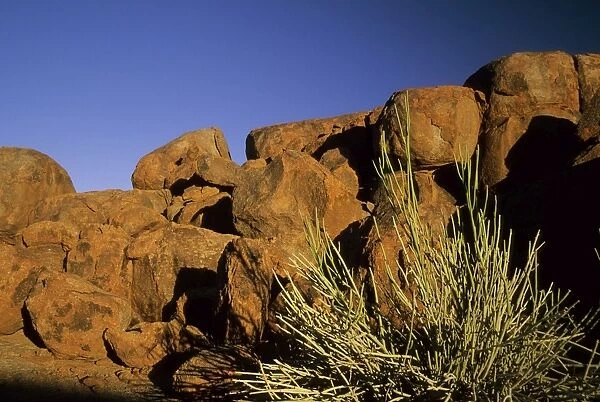 Desert Boulders & Plants - Fish Canyon, Southern Namibia, Africa LA002505