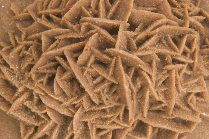 Framed Print : Desert Rose - Calcium sulphate Sahara Desert, Tunisia and Algeria 1E50T4213 Framed Print : Desert Rose - Calcium sulphate Sahara Desert, Tunisia and Algeria 1E50T4213