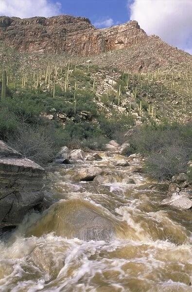 Desert wash flooding near Tucson, Arizona