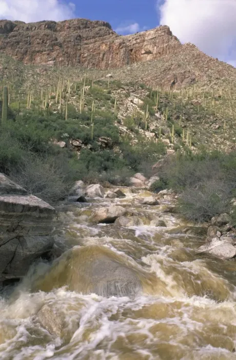 Framed Print : Desert wash flooding near Tucson, Arizona Framed Print : Desert wash flooding near Tucson, Arizona