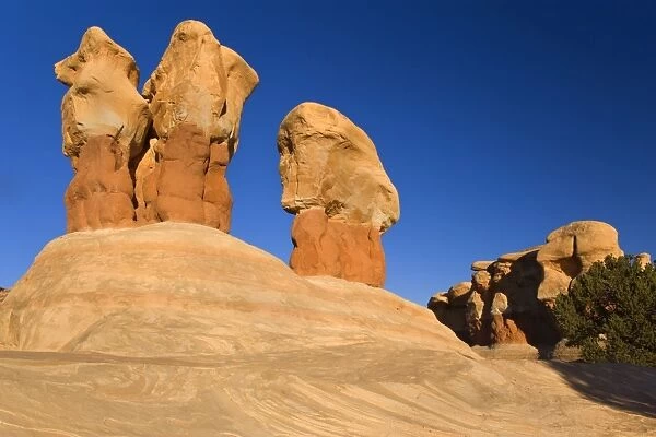 Devil's Garden - petrified sand dunes, Hoodoos and weirdly shaped monoliths - made up of differently coloured sandstone - Hole-in-the-Rock-Road - Grand Staircase Escalante National Monument - Utah - USA