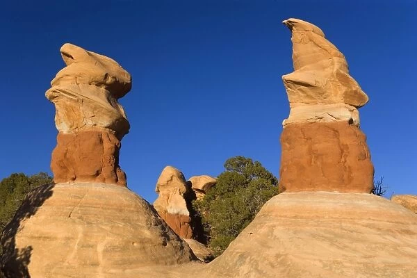 Devil's Garden - petrified sand dunes, Hoodoos and weirdly shaped monoliths - made up of differently coloured sandstone - Hole-in-the-Rock-Road, Grand Staircase Escalante National Monument, Utah, USA
