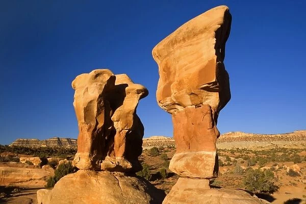 Devil's Garden - spectacular, colourful Hoodoos and weirdly shaped monoliths, reminiscent of Easter Island statues. They are made up of differently coloured sandstone - Hole-in-the-Rock-Road, Grand Staircase Escalante National Monument, Utah