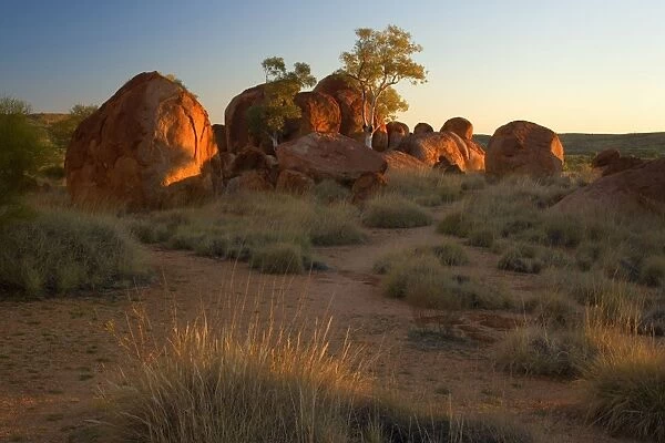 Devils Marbles - several circular shaped marbles of red granite situated amidst grassy bushland in last evening light - Devils Marbles Conservation Area, Northern Territory, Australia