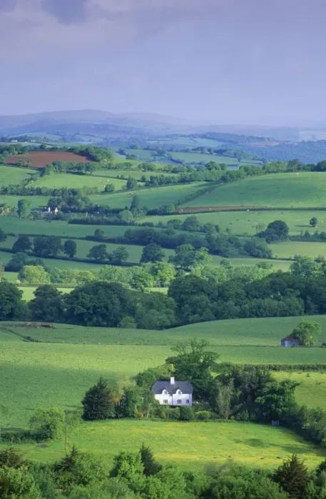 Framed Print : Devon HAR 20 Cottage amidst hedgerow landscape © Anthony Harrison / ARDEA LONDON Framed Print : Devon HAR 20 Cottage amidst hedgerow landscape © Anthony Harrison / ARDEA LONDON