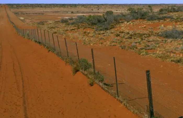 Framed Print : Dingo fence Sturt National Park, far western New South Wales, Australia JPF45266 Framed Print : Dingo fence Sturt National Park, far western New South Wales, Australia JPF45266