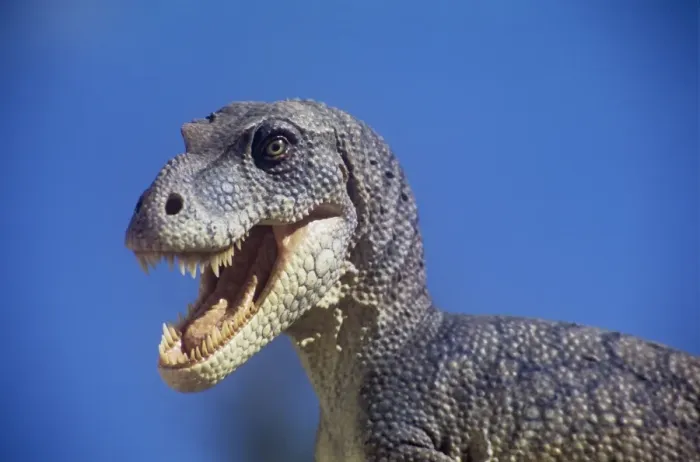 Framed Print : Dinosaur - Albertosaurus liberatus - against a blue sky. Late Cretaceous Framed Print : Dinosaur - Albertosaurus liberatus - against a blue sky. Late Cretaceous