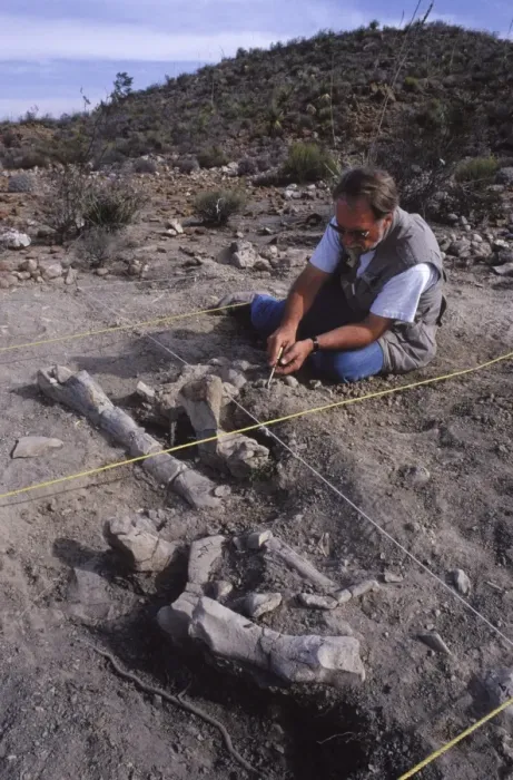 Framed Print : Dinosaur: excavating a Hadrosaur skeleton. Upper Cretaceous sediments. Dig located outside the village of Rincon Colorado, near Saltillo, Coahuila State, Mexico. In the early 1990's Framed Print : Dinosaur: excavating a Hadrosaur skeleton. Upper Cretaceous sediments. Dig located outside the village of Rincon Colorado, near Saltillo, Coahuila State, Mexico. In the early 1990's