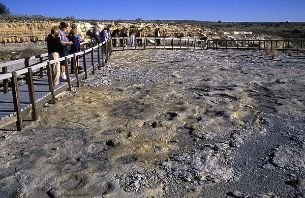 Dinosaur tracks: Clayton Lake State Park, New Mexico, USA Footprints and trackways of Ornithopod and Theropod dinosaurs have been discovered on a layer of rock near the Clayton Lake Reservoir in New Mexico