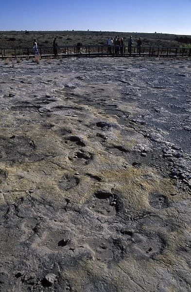 Dinosaur tracks: Clayton Lake State Park, New Mexico, USA Footprints and trackways of Ornithopod and Theropod dinosaurs have been discovered on a layer of rock near the Clayton Lake Reservoir in New Mexico
