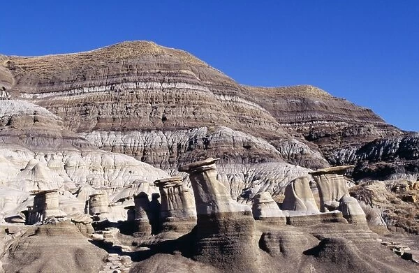 Dinosaur Valley - Horseshoe Canyon Formation, cretaceous. Drumheller, Alberta, Canada
