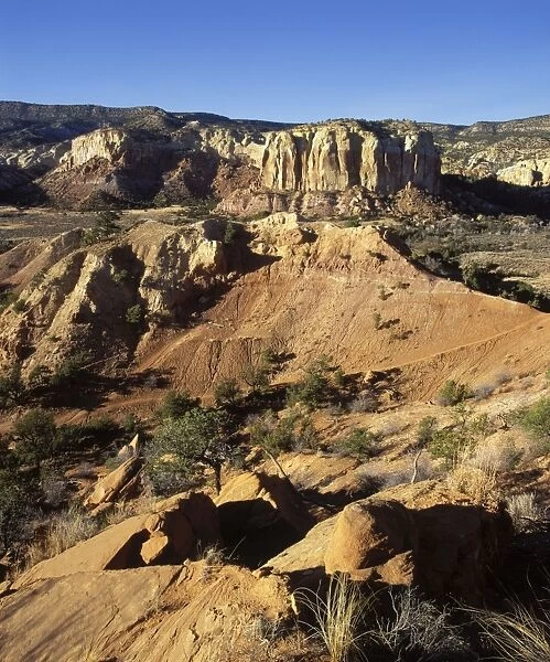 Dinosaurs - Geology Ghost Ranch, New Mexico: a mass mortality site of the dinosaur Ceolophysis was discovered in the reddish strata near the center of the photo. The excavation site is visible left of center
