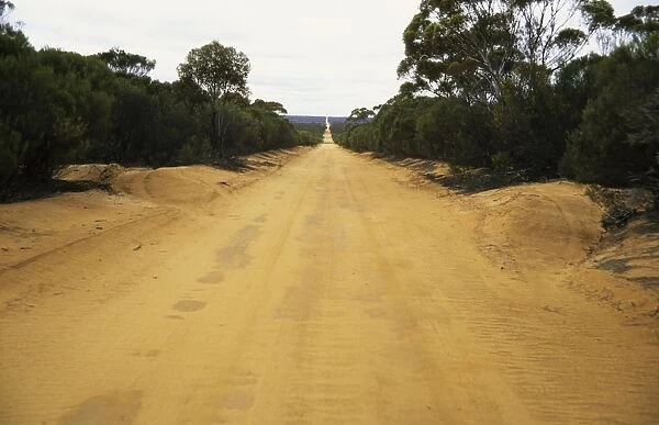 Dirt Road - Through Outback - Paynes Find - Western Australia LA002111