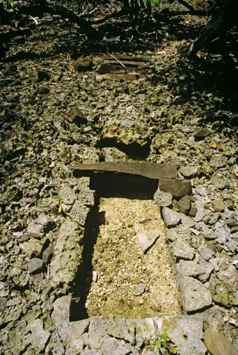 Framed Print : Dorong, tunnel channel Nan Madol fortress complex (c. 1200 AD) Pohnpei, Micronesia JLR04190 Framed Print : Dorong, tunnel channel Nan Madol fortress complex (c. 1200 AD) Pohnpei, Micronesia JLR04190