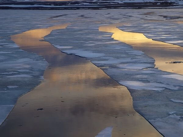Drift ice in Lady Franklinsfjorden - Svalbard - Norway