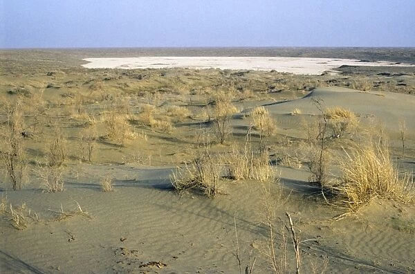 Dry salt marsh - surrounded by sand dunes - a typical scene in Central Karakum desert - Turkmenistan - former CIS - Spring - April Tm31. 0179(0794)