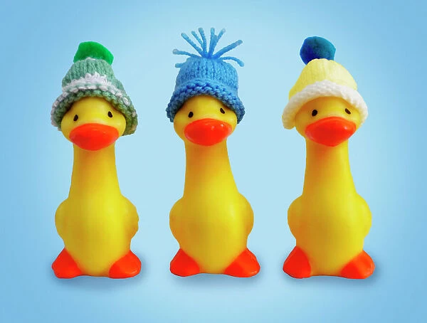Ducklings in wooly hats