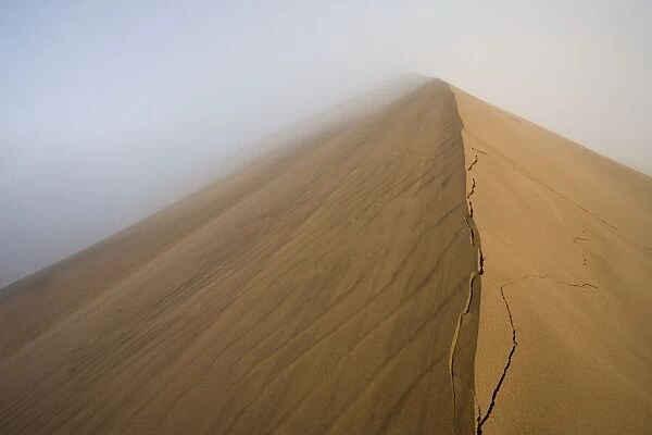 Dune Crest in the mist Dune Belt near Walvis Bay Namibia, Africa