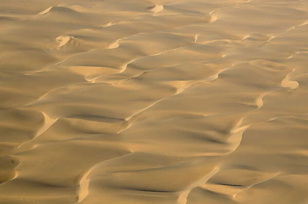 Dune patterns in the Namib Desert - aerial view