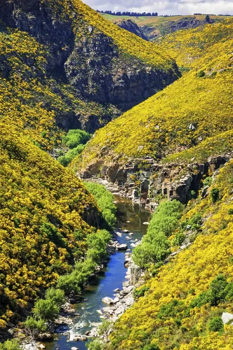 Framed Print : Dunedin Railways tour of the Taieri Gorge, Otago, South Island, New Zealand Date: 22-06-2021 Framed Print : Dunedin Railways tour of the Taieri Gorge, Otago, South Island, New Zealand Date: 22-06-2021