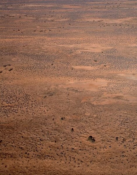 Dunefields (dunes & interdune corridors) Simpson Desert, South Australia JPF41403