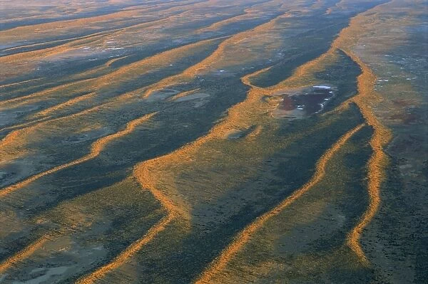 Dunefields, Longitudinal sand dunes over alluvial plain made of clay and gibber Southeast Simpson Desert, South Australia JPF41725