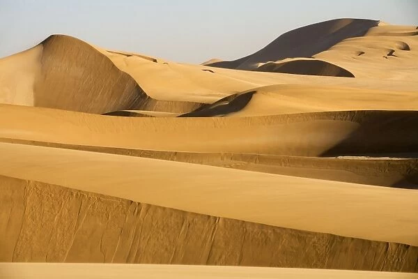 Dunes in the afternoon - Dune Fields - Namib Desert - Namibia - Africa